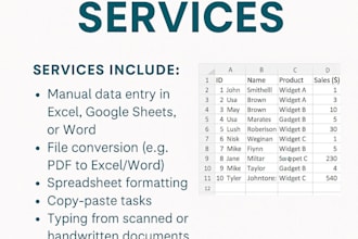 do data entry, file conversion, and spreadsheet formatting