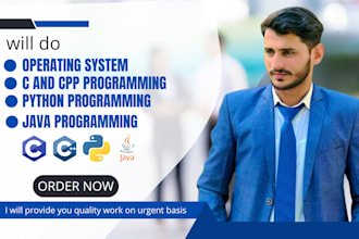 java python c and cpp operating system and ai programming task developer