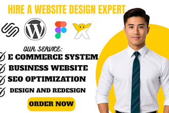 clean wordpress plug in errors,theme issues,hacked wordpress website