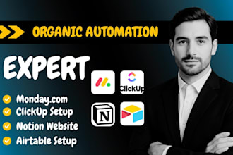 setup automation monday CRM airtable clickup notion trello asana typeform