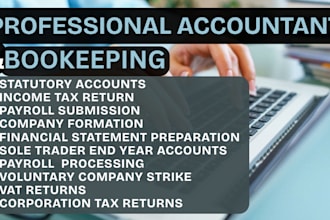 optimize your accounts, bookkeeping, payroll and taxation with precision