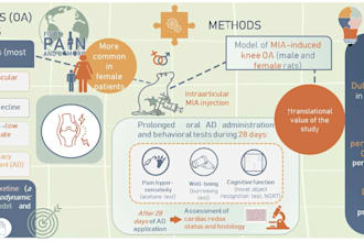 make your graphical abstracts everytpye