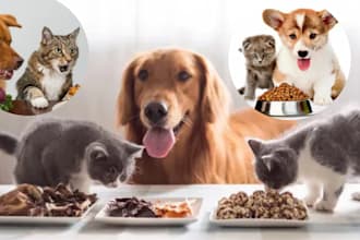 do pet or dog food formulation as a certified veterinarian