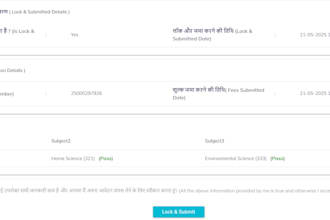 do manual and automated user acceptance testing