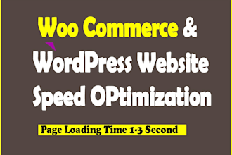 speed up wordpress website for google page speed insights