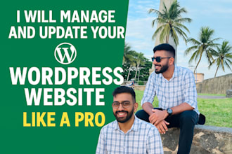 manage and update your wordpress website like a pro