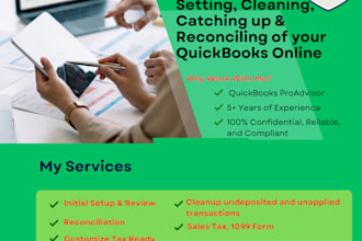 do setup, bookkeeping, clean, and automate the quickbooks