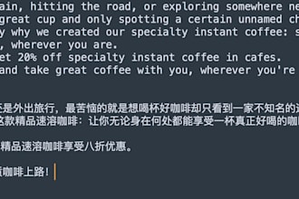 translate and polish your technical or nontech documents in english and chinese