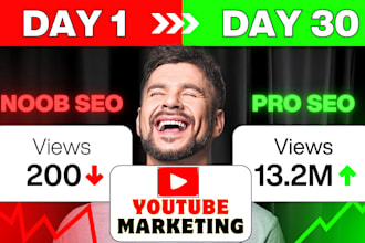 do organic youtube promotion grow your video views