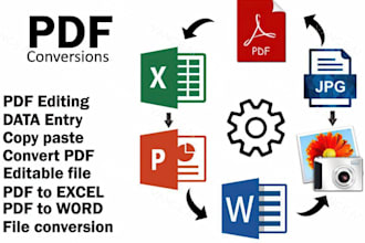 convert pdf to word, pdf to excel or data entry in 24 hours