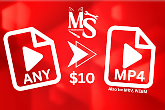 convert any video format to mp4, mkv, or webm