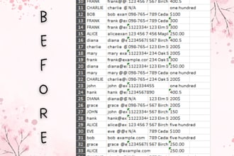 provide reliable data entry and copypaste services