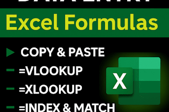 do data entry advance excel formulas xlookup index match