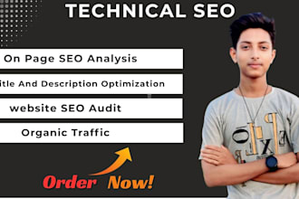 full technical SEO audit and optimization for your website