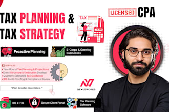 provide US tax planning and tax strategy for individuals and businesses