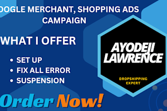 set up google merchant center and shopping ads campaign