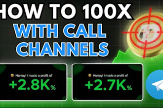 professionally promote and manage your telegram channel or community