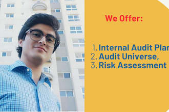 develop internal audit plans and review business controls