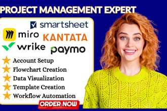 professionally setup and optimize miro smartsheet wrike paymo kantata