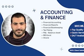 do accounting and finance assignment and financial analysis report
