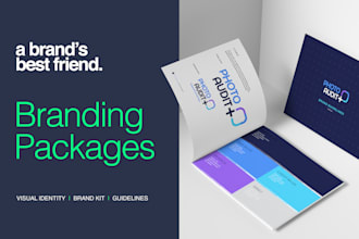 create your visual identity, brand guidelines and brand kit