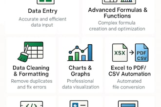 do professional excel data entry, formulas, and automation