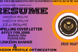 craft executive resume, professional, ceo, director resume and resume writing