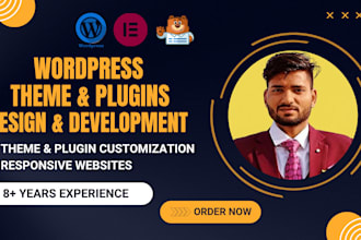 do custom wordpress theme, plugin customization and setup