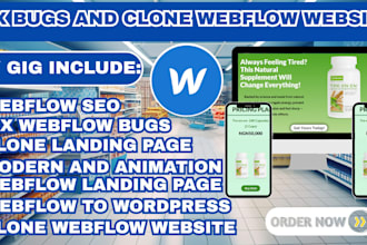 fix, update, clone webflow website, webflow SEO landing page, fix webflow bugs