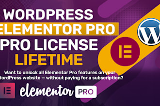 install elementor pro license with auto updates on your wordpress website