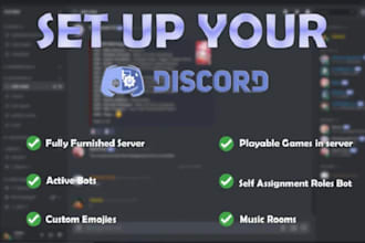 professionally set up discord server with best design