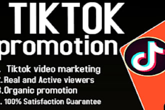 do tiktok shoutout promotion with social media ad campaign