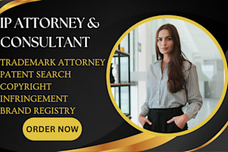 be your patent, trademark, and copyright lawyer
