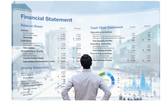 provide professional accounting services for your business