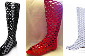 do expert in lattice models and computational physics simulations 3d print