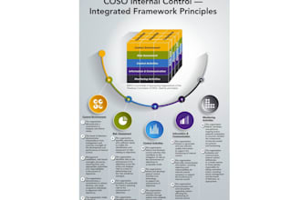 do internal controls review and coso framework support