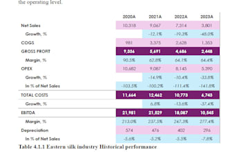perform professional company valuation by financial modeling