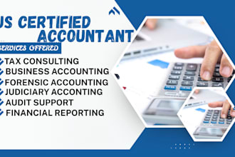 do forensic accounting advisor, fraud detection, audits and consultation