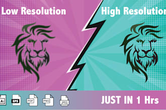 convert low resolution into accurate vector tracing