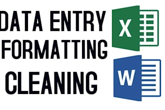 do fast and accurate data entry, formatting, copy paste in excel or word