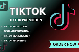 tiktok promotion, tik tok monetization, organic promotion, tiktok marketing,