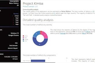 do professional manual testing for your software