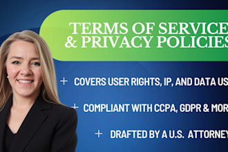 write website terms and privacy policy as your lawyer