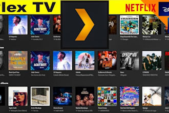 install, set up and configure your plex jellyfin or emby media server