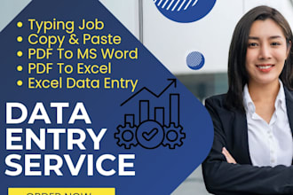professional data entry work