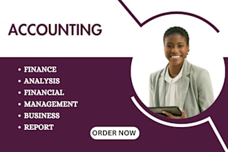 do accounting and finance assignments financial analysis, model, excel projects