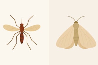 draw soft, textured minimalist illustrations