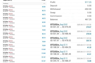 offer forex trading bot trading bo forex trading bot