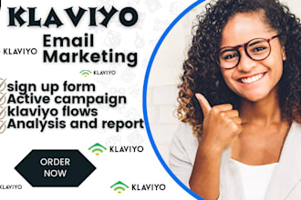 klaviyo audit, klaviyo email flow klaviyo email marketing expert