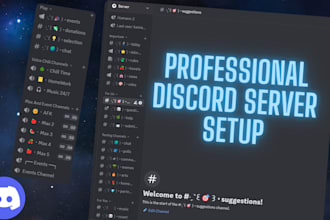 setup a professional discord server within 48 hours